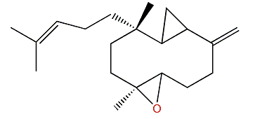 Pacificin O